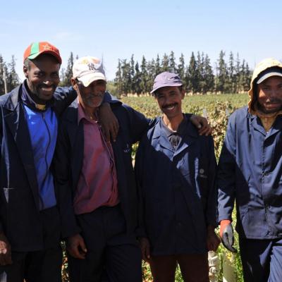 Les hommes de la Zouina