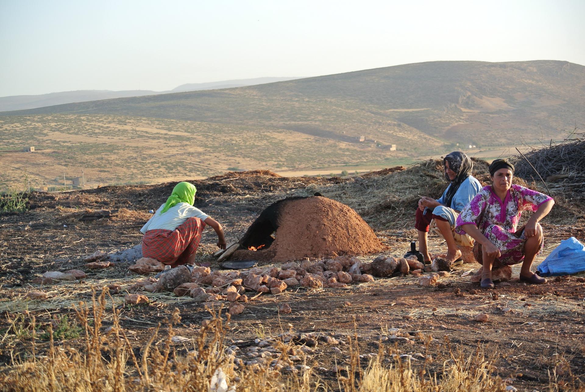 wine of morocco